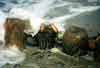 Bild 01