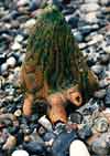 Bild 07